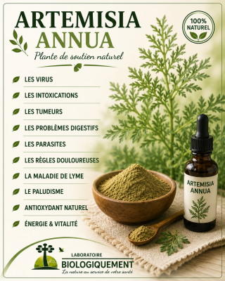 Artemisia, le laboratoire Biologiquement des plantes rares riches en principes actifs.