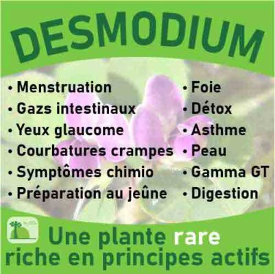 Desmodium, le laboratoire Biologiquement des plantes rares riches en principes actifs.