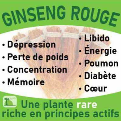 Ginseng rouge, le laboratoire Biologiquement des plantes rares riches en principes actifs.