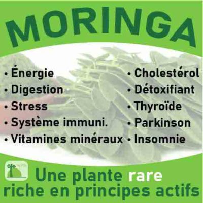 Moringa, le laboratoire Biologiquement des plantes rares riches en principes actifs.