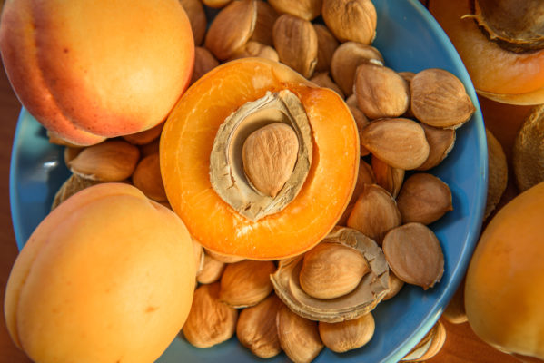 Les amandes amères d'abricot bio, contiennent de la vitamine B-17 anti cancer, les amandes douces en sont dépourvus