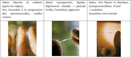 La méthode Billings contraception naturelle